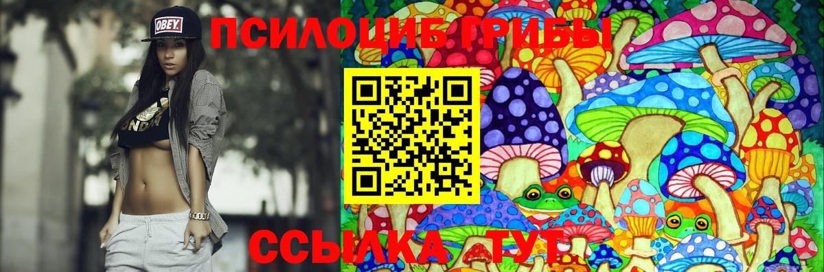 Галлюциногенные грибы мицелий  Вход с VPN  Кольчугино 